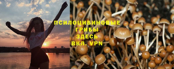 прущая мука Гусь-Хрустальный